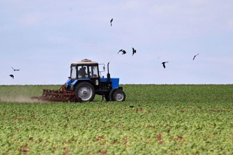 2022 대구외고 1학년 2학기 중간시험 대비 (2) War’s harvest: the looming food crisis by BBC News