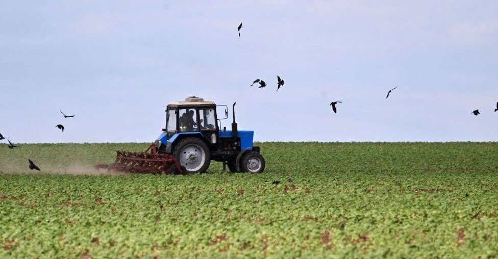 War’s harvest: the looming food crisis by BBC News