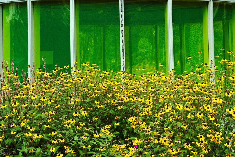 대구외고 2학년 기말고사 대비(Greenwashing)-(6)
